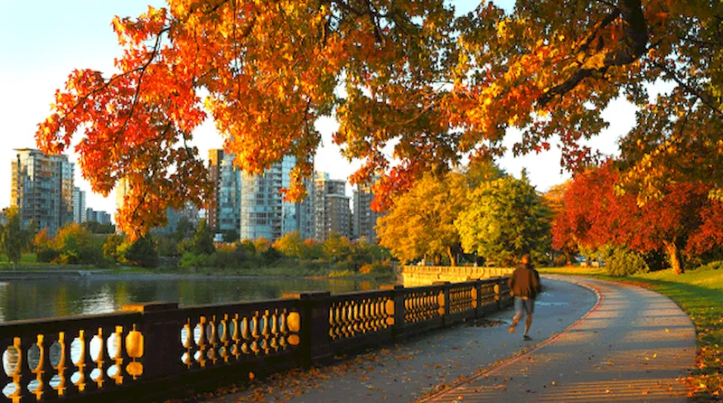 Công viên Stanley rực rỡ lá vàng mùa thu