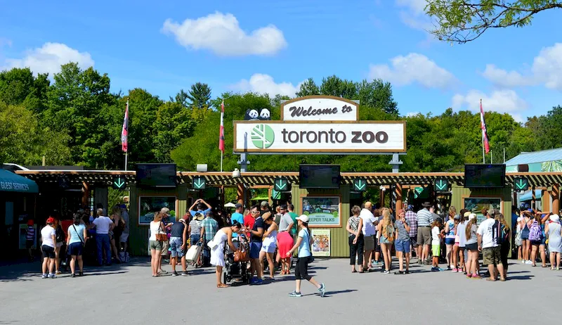 Đặt vé máy bay đến Canada nên đến sở thú Toronto