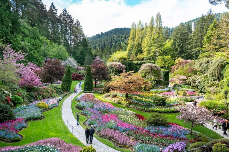 Vườn hoa Butchart thơ mộng mang phong cách Nhật Bản và Ý