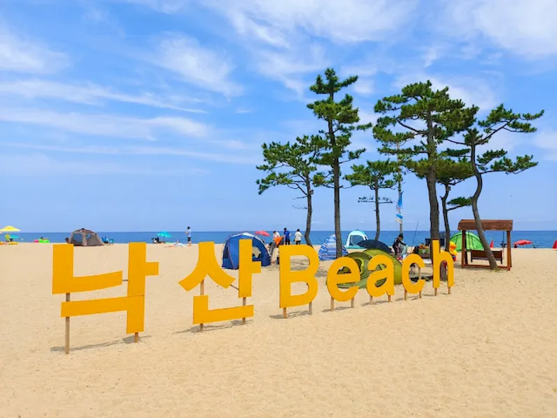 Bãi biển Naksan ở Gangwo Hàn Quốc