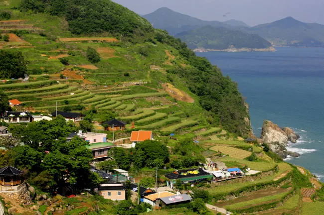 Làng Darangee Hàn Quốc