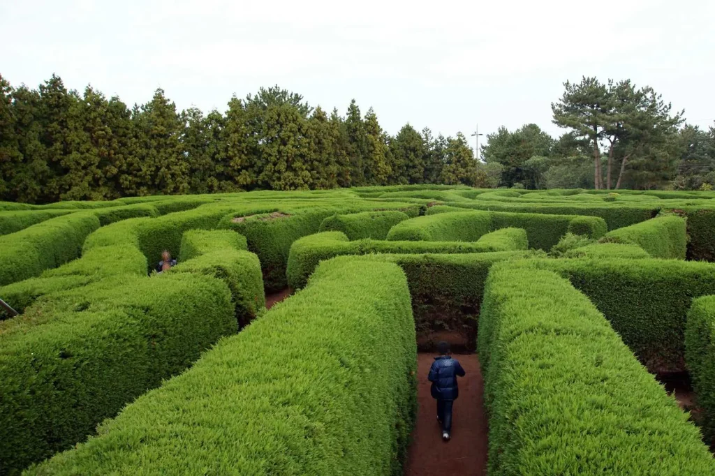 Mê cung lớn nhất đảo Jeju - Maze Land