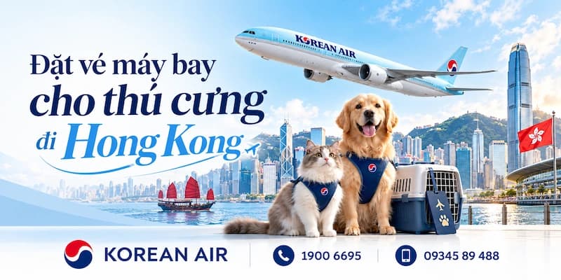 Cách đặt vé máy bay cho thú cưng đi Hong Kong Korean Air