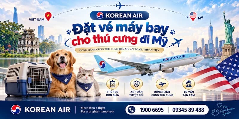 Đặt vé máy bay cho thú cưng đi Mỹ Korean Air