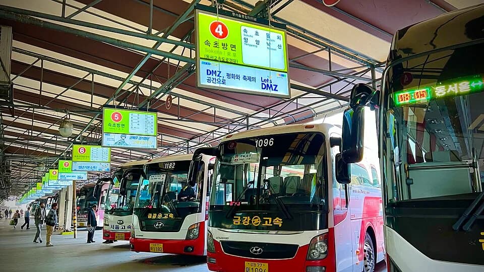 Đi xe buýt ở Hàn Quốc: chọn tuyến, thẻ giao thông và điểm xuống