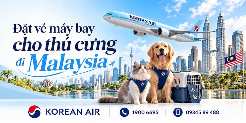 Cẩm nang săn vé máy bay cho thú cưng đi Malaysia Korean Air