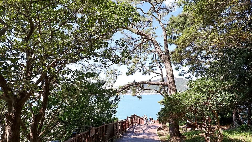 Du lịch Yeosu: biển đêm, Odongdo và cáp treo theo lịch nhẹ