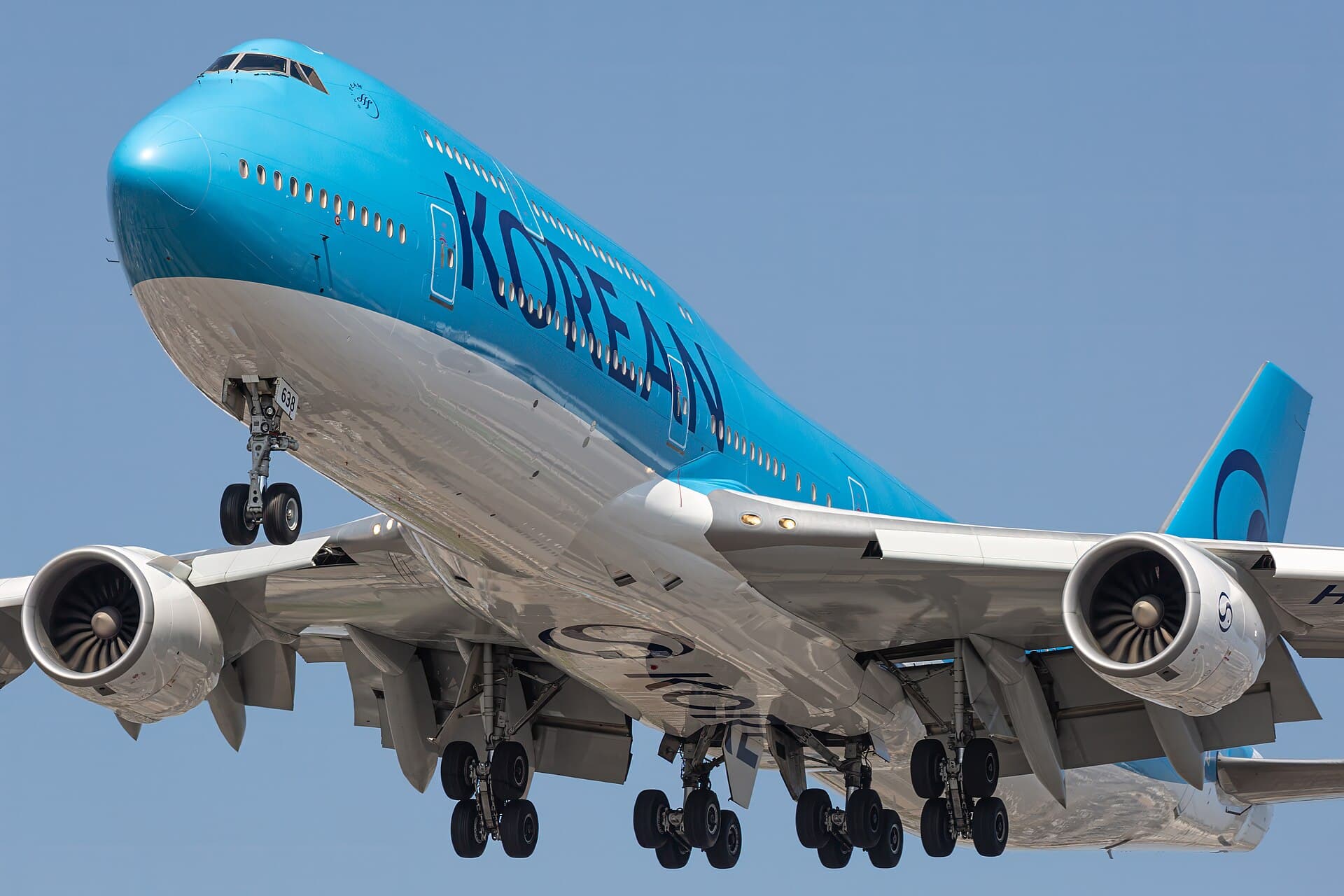 Đặt vé máy bay cho thú cưng đi Hàn Quốc Korean Air